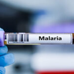 Peneliti Ciptakan Blueprint Imun, Harapan Baru Lawan Malaria